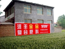 湘潭如何让墙体广告展现最大化效果