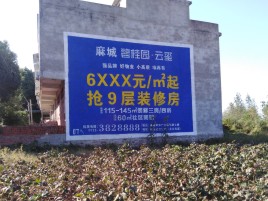 湘潭品牌公司青睐的墙体广告